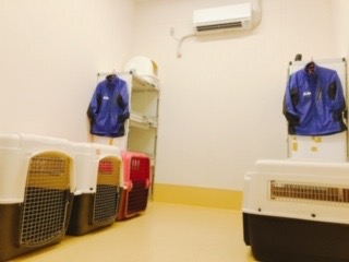 吉川店